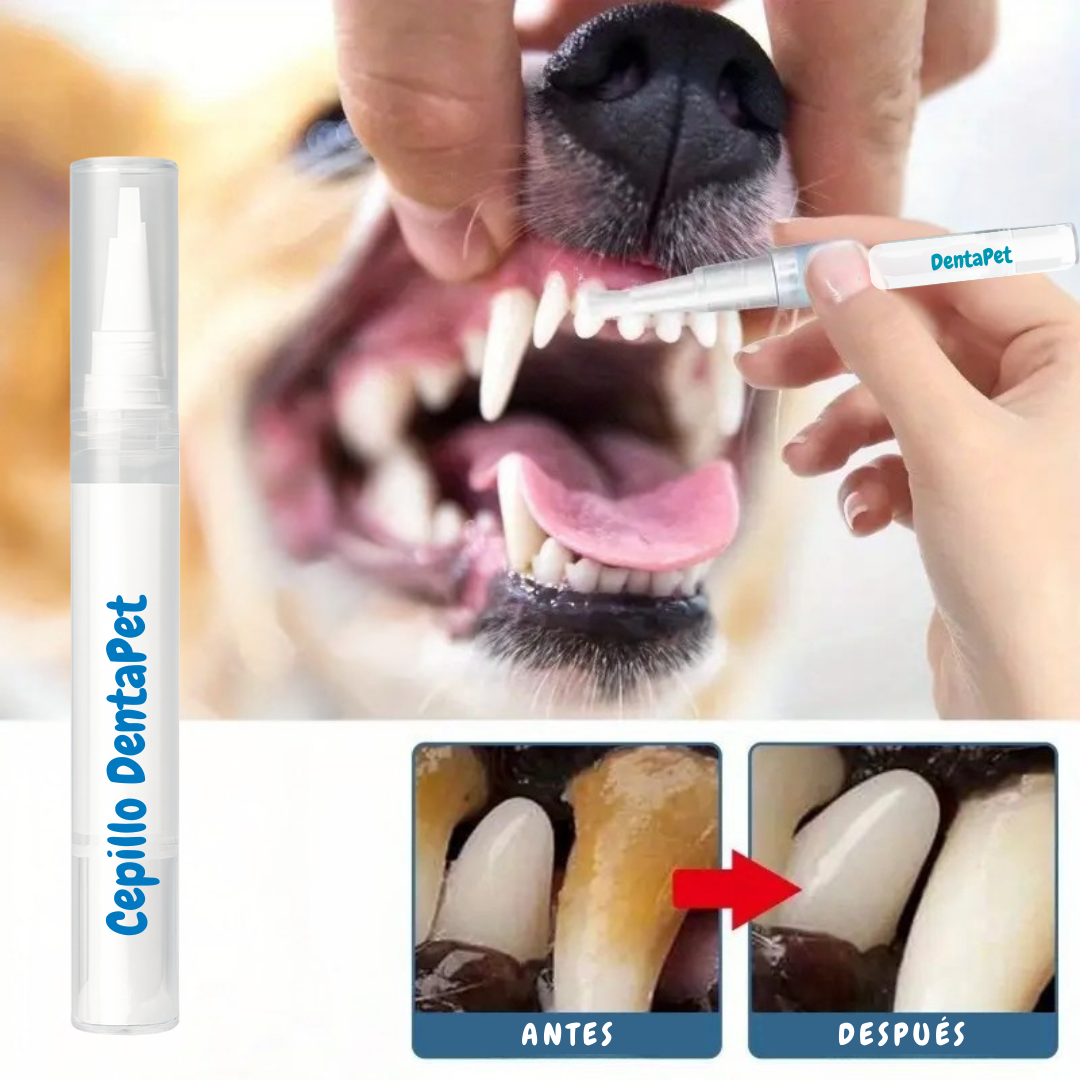 DentaPet: Cepillo Eliminador de Sarro para Perros