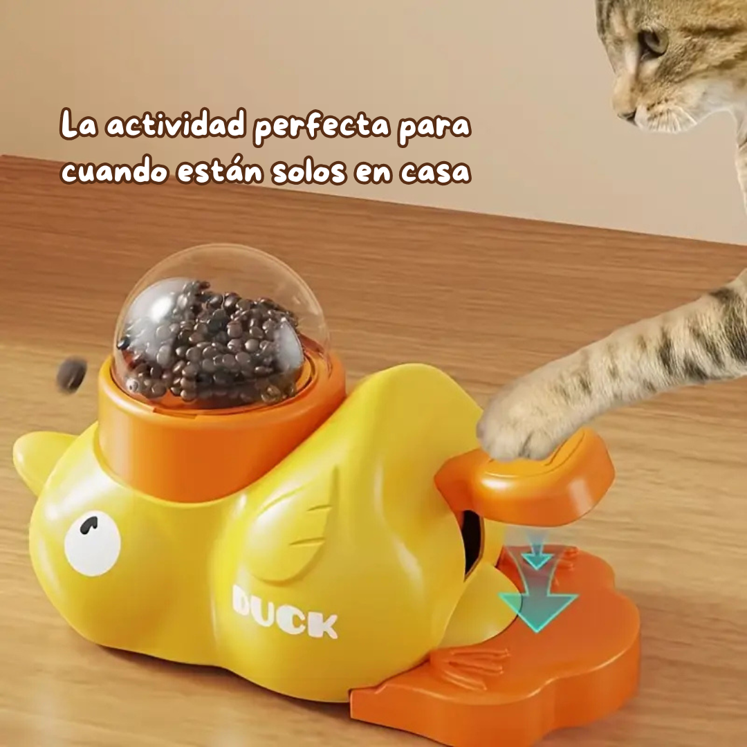 Ducky: Sistema de Recompensas Estimulante
