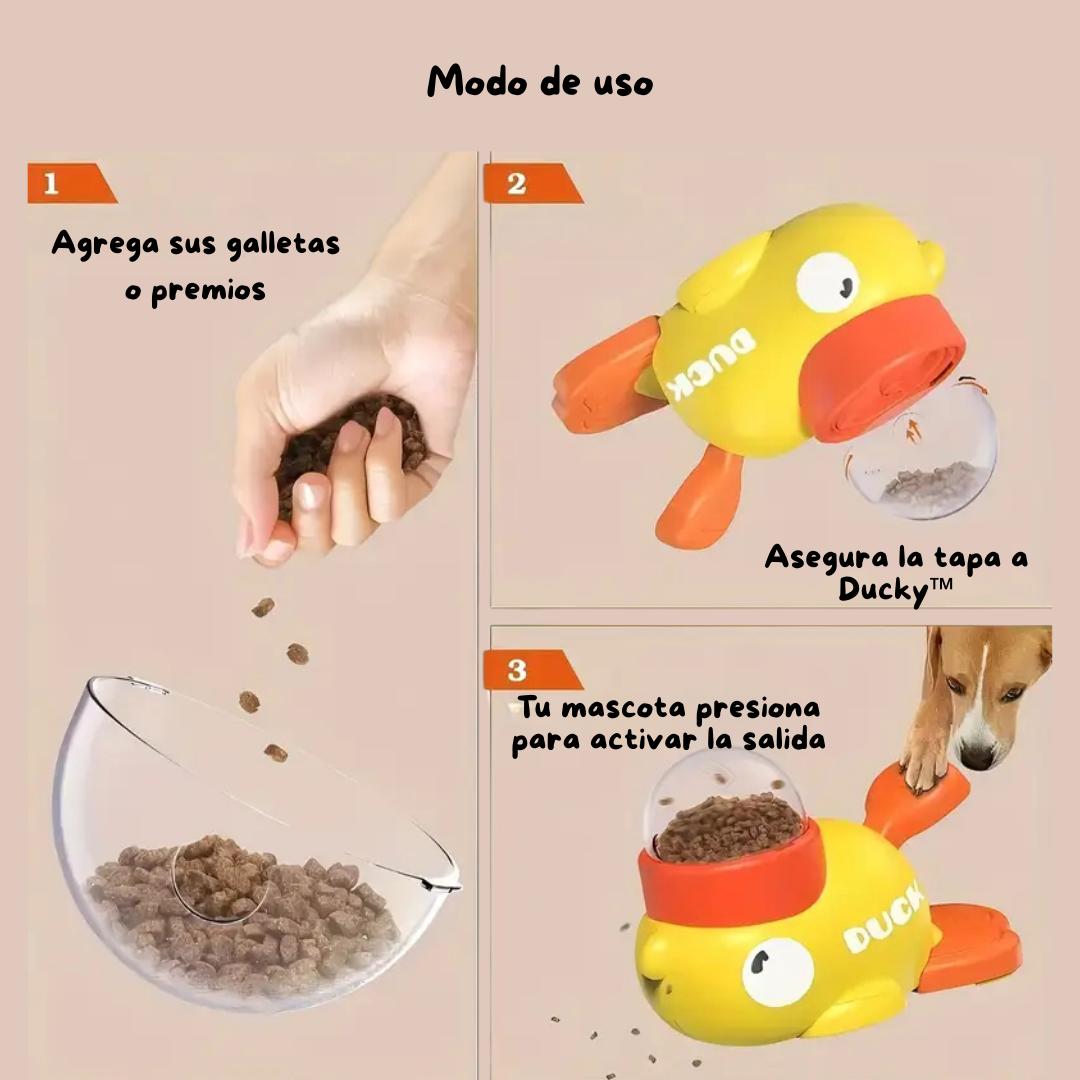 Ducky: Sistema de Recompensas Estimulante