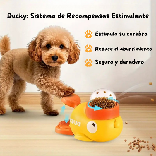 Ducky: Sistema de Recompensas Estimulante