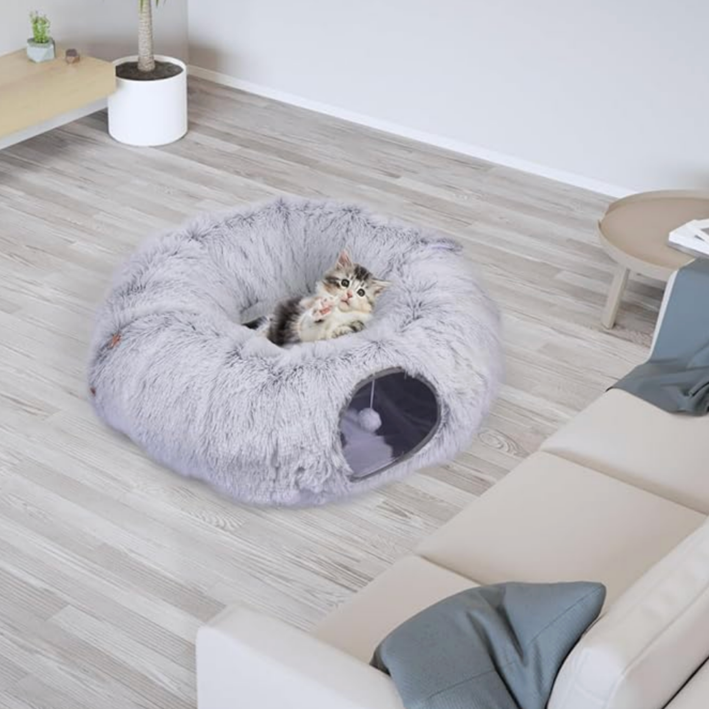 TheNest: Nido interactivo para gatos
