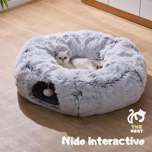 TheNest: Nido interactivo para gatos