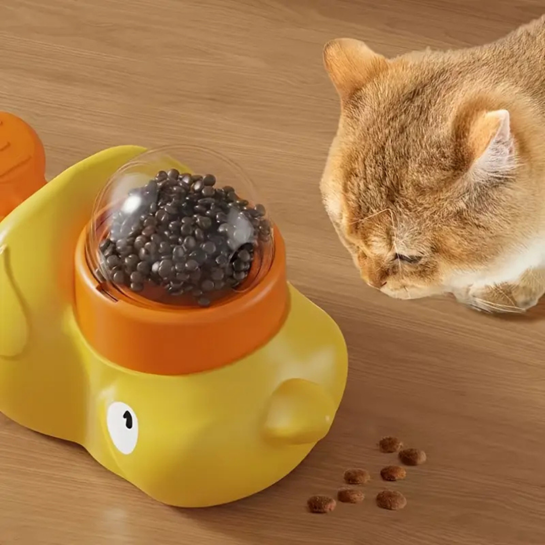 Ducky: Sistema de Recompensas Estimulante