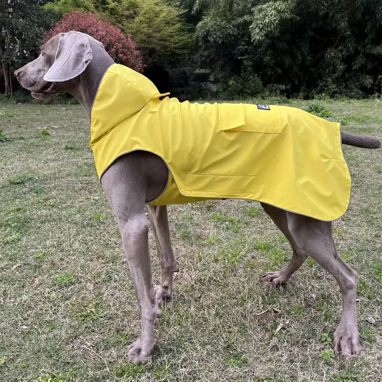 RainPet | Chubasquero cómodo para mascotas