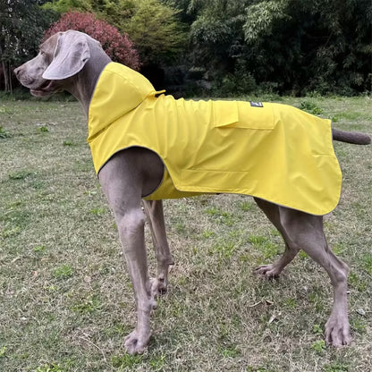 RainPet | Chubasquero cómodo para mascotas